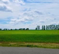 5XXX W Lake Burgen Road SE Alexandria MN 56308