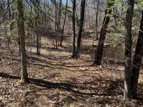 51246 Old Mill Drive Osage MN 56570