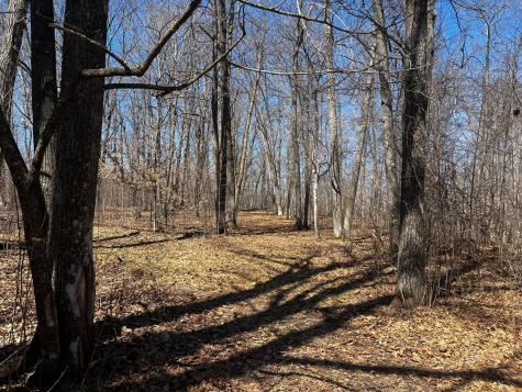 51246 Old Mill Drive Osage MN 56570