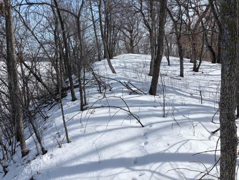 798 S Shore Drive Detroit Lakes MN 56501