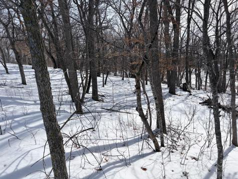 798 S Shore Drive Detroit Lakes MN 56501