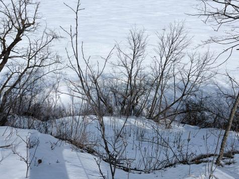 798 S Shore Drive Detroit Lakes MN 56501