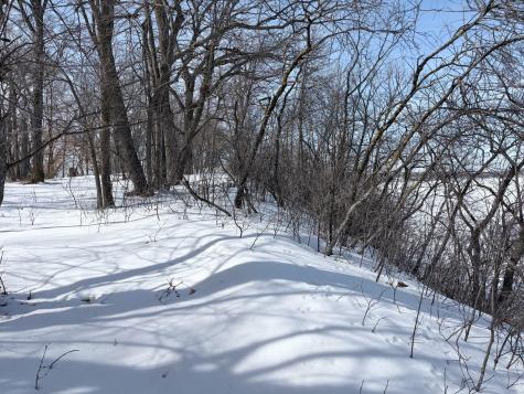 798 S Shore Drive Detroit Lakes MN 56501
