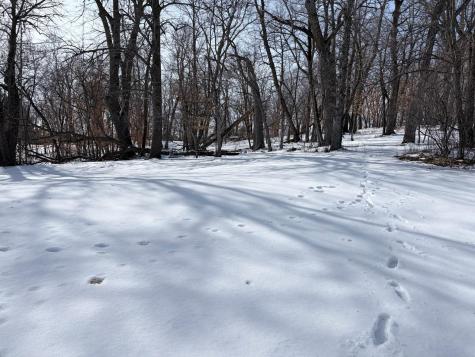 798 S Shore Drive Detroit Lakes MN 56501