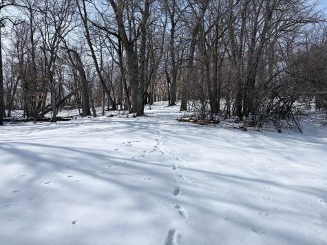 798 S Shore Drive Detroit Lakes MN 56501