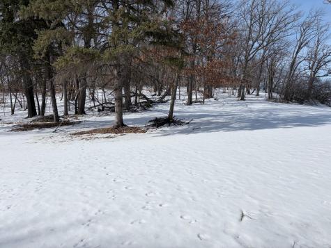 798 S Shore Drive Detroit Lakes MN 56501