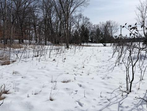 798 S Shore Drive Detroit Lakes MN 56501