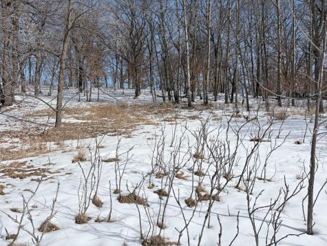 798 S Shore Drive Detroit Lakes MN 56501