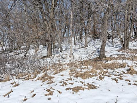 798 S Shore Drive Detroit Lakes MN 56501