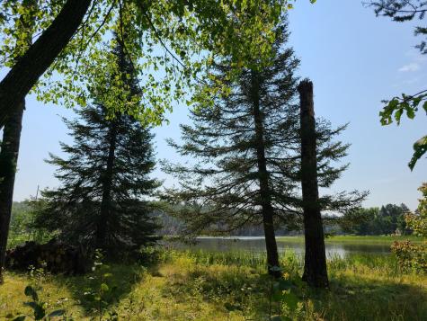 10281 Sullivan Bay Orr MN 55771