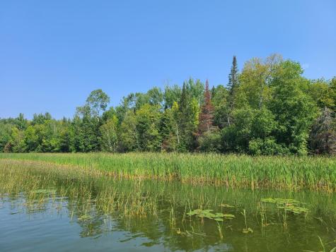 10281 Sullivan Bay Orr MN 55771