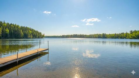 53549 Little Bear Trail Bigfork MN 56657