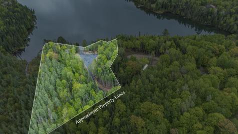 53549 Little Bear Trail Bigfork MN 56657