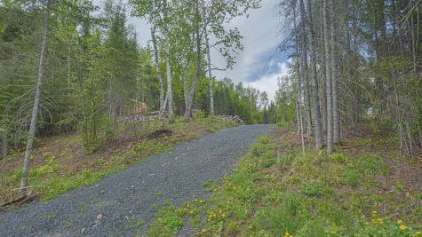 53549 Little Bear Trail Bigfork MN 56657