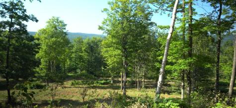 83xxx - Lot 12 Ashwabay Road Bayfield WI 54814