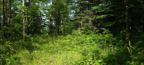 83XXX - Lot 12 Ashwabay Road Bayfield WI 54814