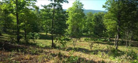 83XXX - Lot 12 Ashwabay Road Bayfield WI 54814
