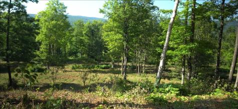 83XXX - Lot 12 Ashwabay Road Bayfield WI 54814