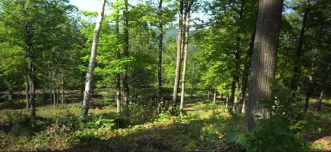 83XXX - Lot 12 Ashwabay Road Bayfield WI 54814