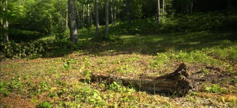 83XXX - Lot 12 Ashwabay Road Bayfield WI 54814