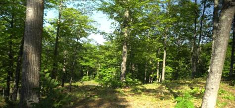 83XXX - Lot 12 Ashwabay Road Bayfield WI 54814