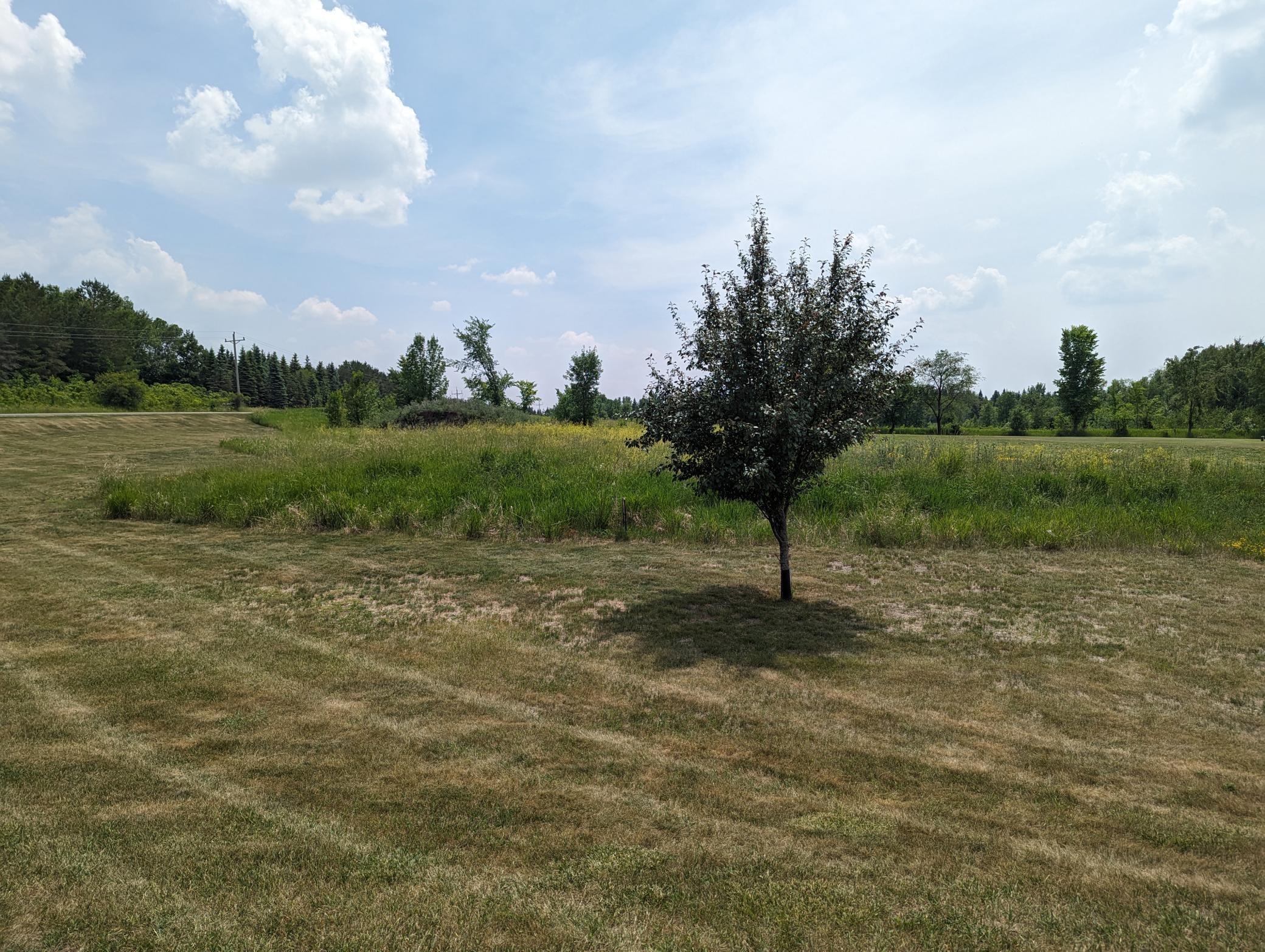 Lot 8 Geneva Golf Club Drive NE Alexandria MN 56308