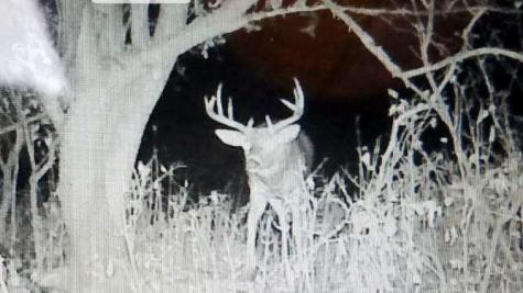 Tbd 40th Clayton WI 54004