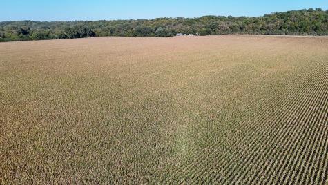 Tbd Lime Valley Road Lime Twp MN 56001