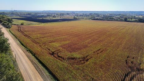 Tbd Lime Valley Road Lime Twp MN 56001