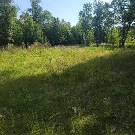 Tbd Jeff Lake Road Richville MN 56576