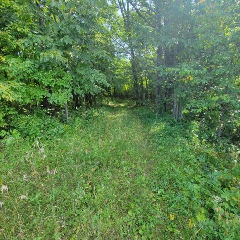 Tbd Jeff Lake Road Richville MN 56576