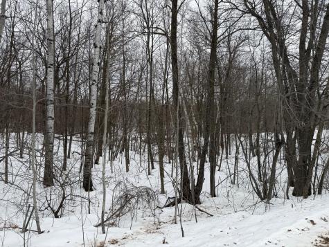 Tbd White Fish Road Garrison MN 56450