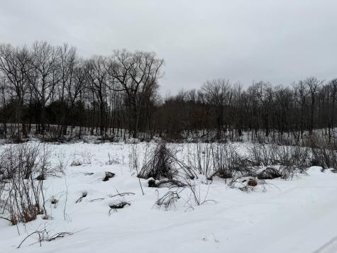 Tbd White Fish Road Garrison MN 56450