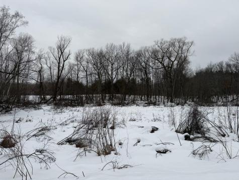 Tbd White Fish Road Garrison MN 56450