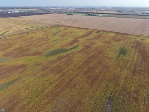 9124 & 9350 57th Street S Horace ND 58047