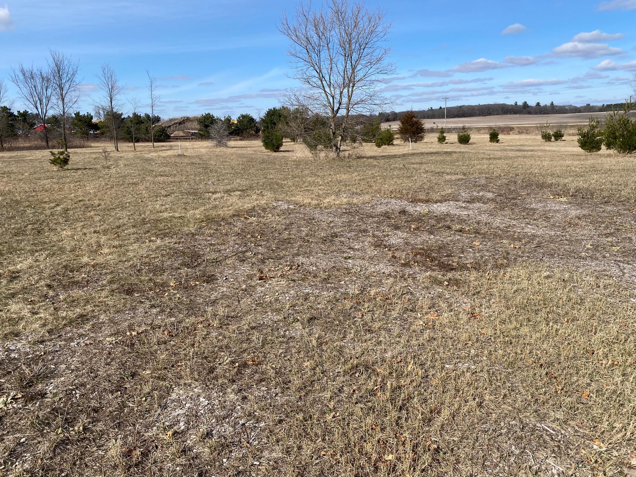 Lot 2 934th Street Mondovi WI 54755