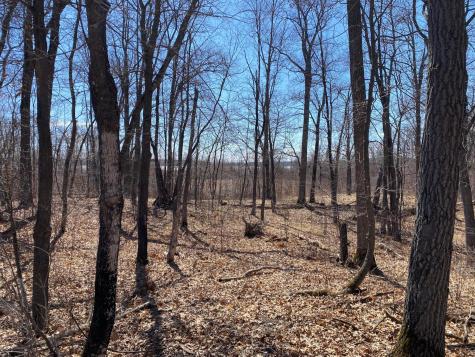 Tbd Sunrise Beach Drive NW Walker MN 56484