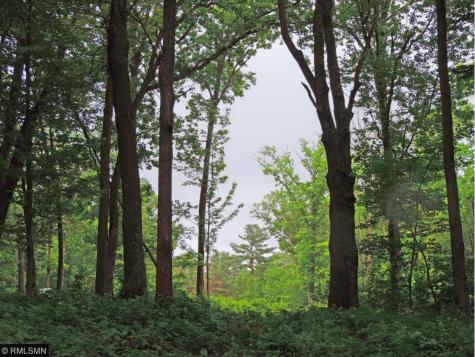 Tbd Sunrise Beach Drive NW Walker MN 56484