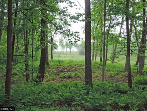 Tbd Sunrise Beach Drive NW Walker MN 56484