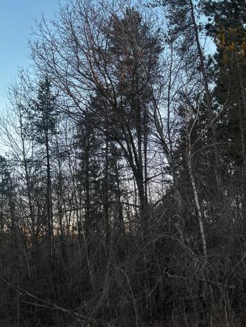 2115 S Brookview Drive Mora MN 55051