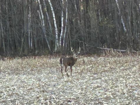 1350 County Road D Lot 4 Emerald WI 54013