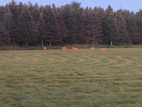 1350 County Road D Lot 4 Emerald WI 54013