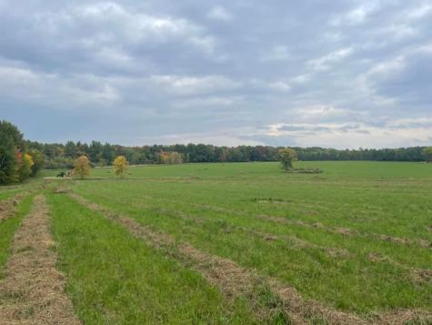 1350 County Road D Lot 4 Emerald WI 54013