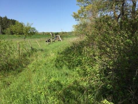 Xxx County Road 24 & 63rd Avenue Cannon Falls MN 55009