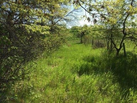 Xxx County Road 24 & 63rd Avenue Cannon Falls MN 55009