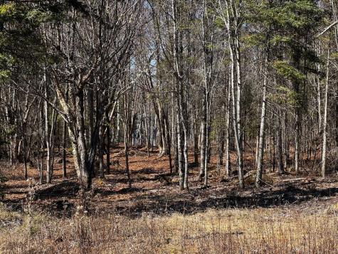 417 Barrel Road Ely MN 55731