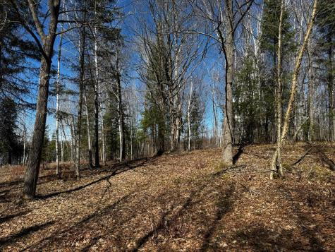 417 Barrel Road Ely MN 55731
