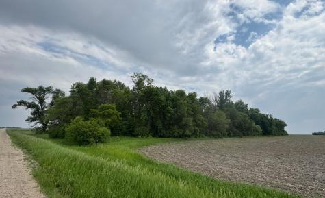 1265 170th Street Wolverton MN 56594