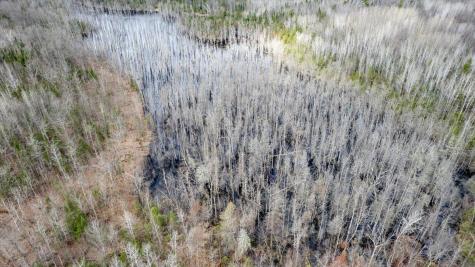 5600 E Otto Road South Range WI 54874