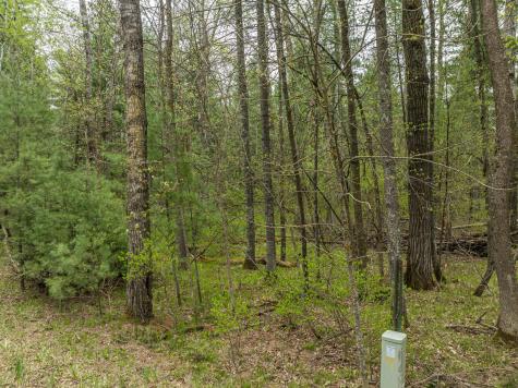 Tbd Chokecherry Drive Nevis MN 56467